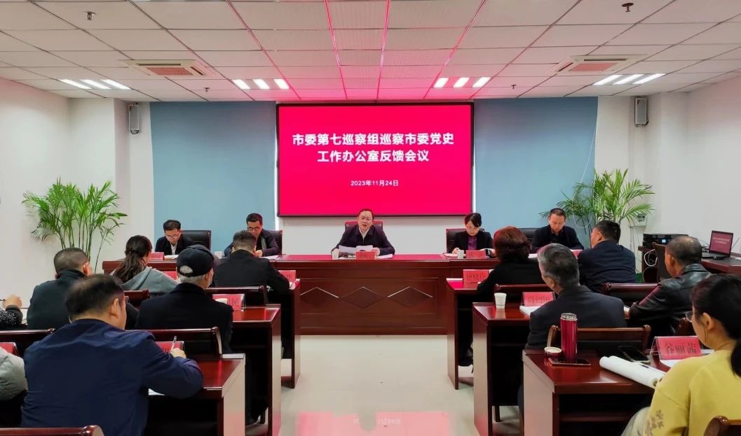 市委第七巡察组向市委党史工作办公室反馈巡察情况